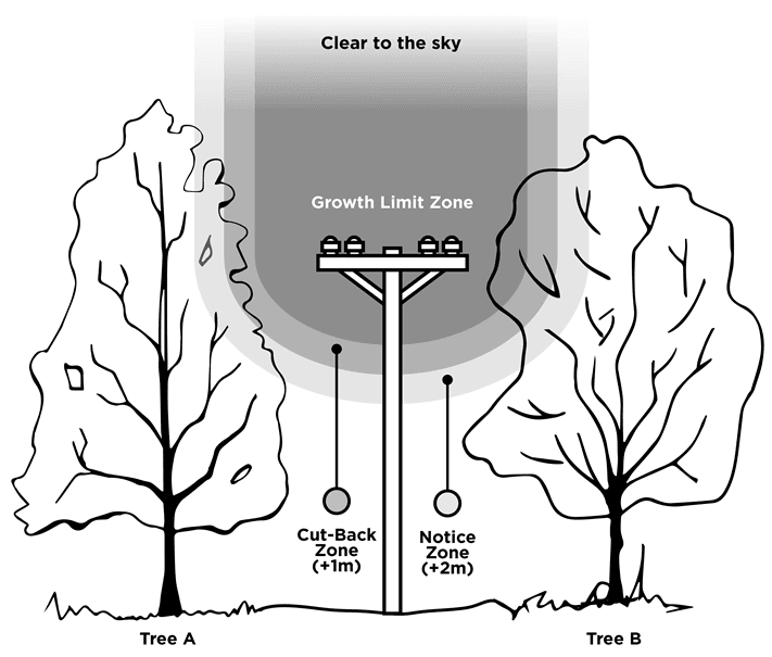 Diagram showing tree growth clearance limit