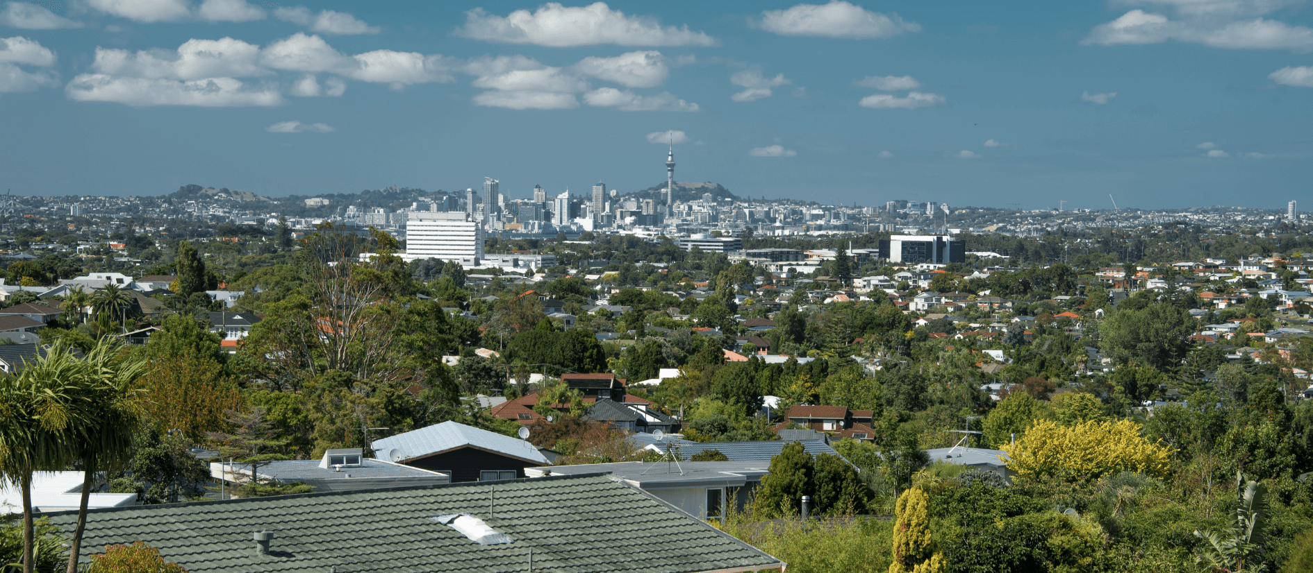 View out towards Auckland over green trees