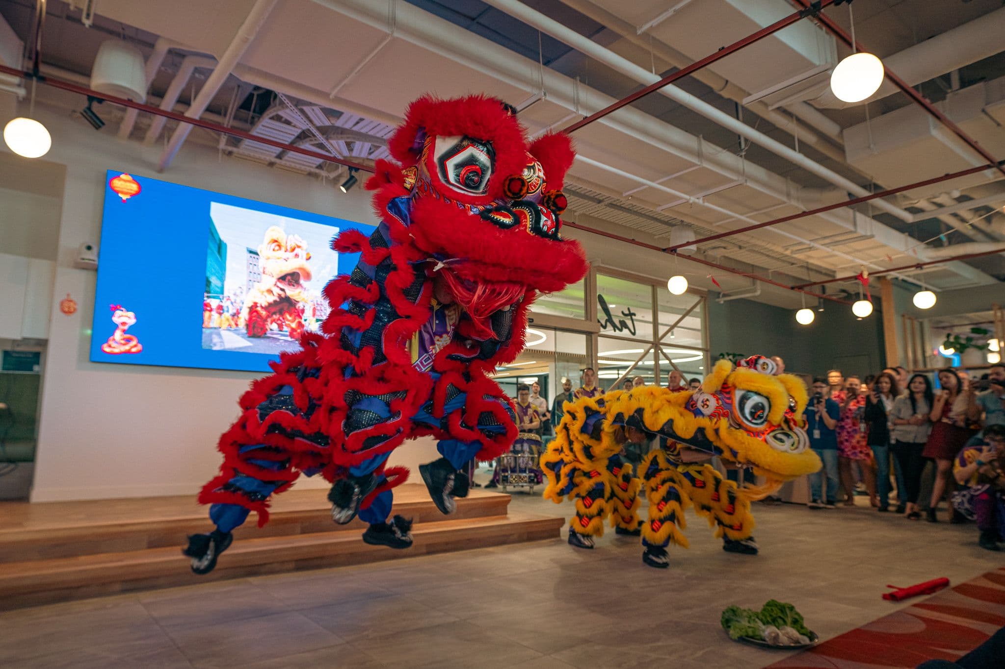 Lunar new year 2025