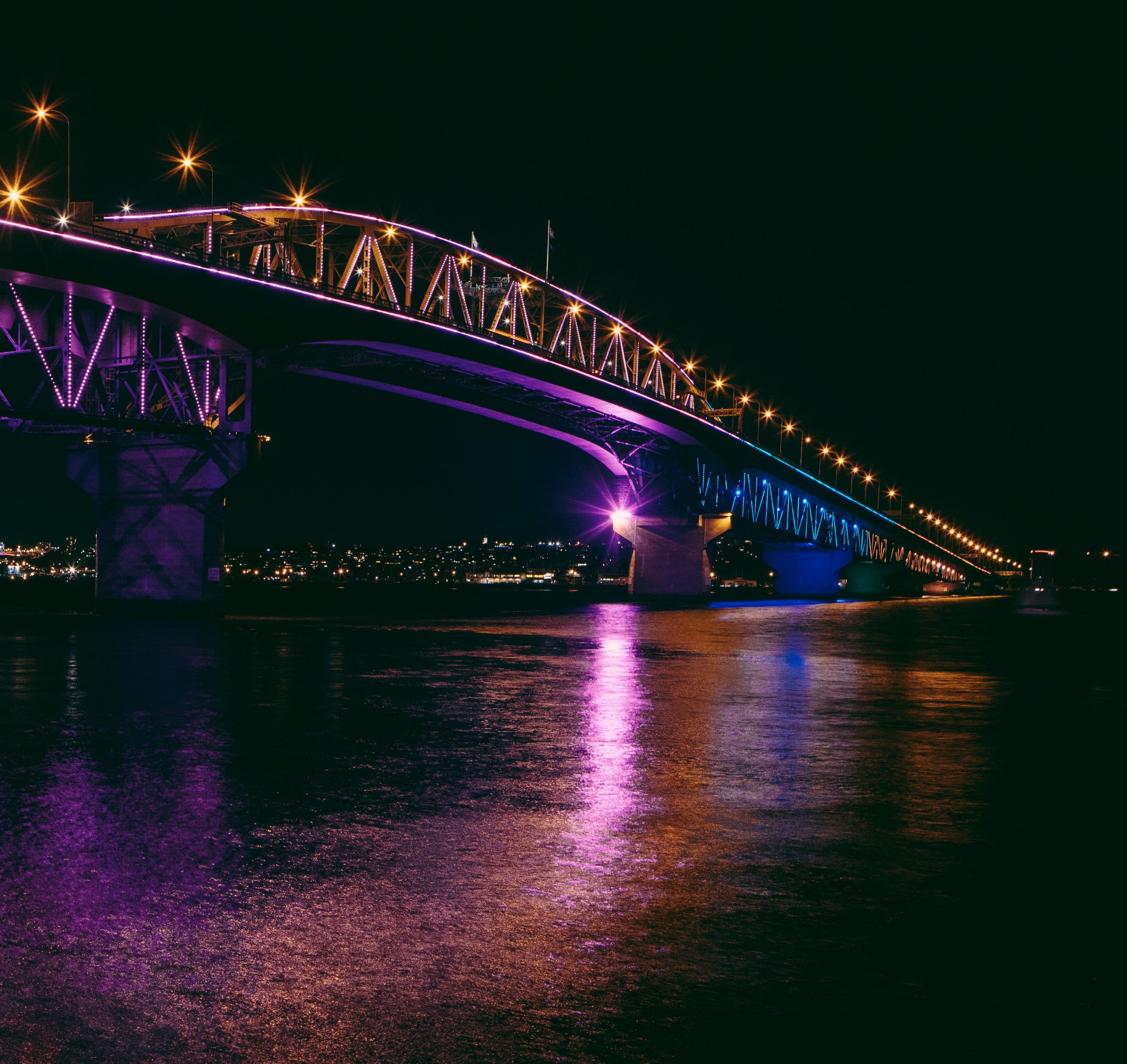 Vector Lights for World Meningitis Day