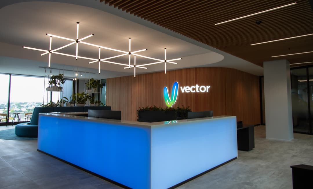 Ownership | About Us | Vector Limited